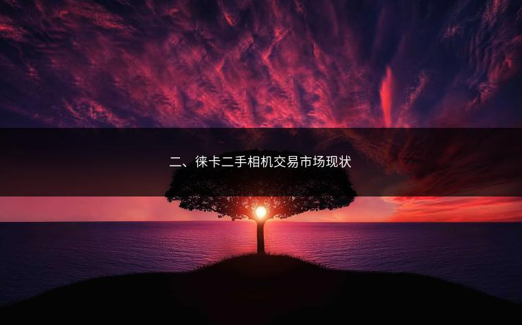 二、徕卡二手相机交易市场现状