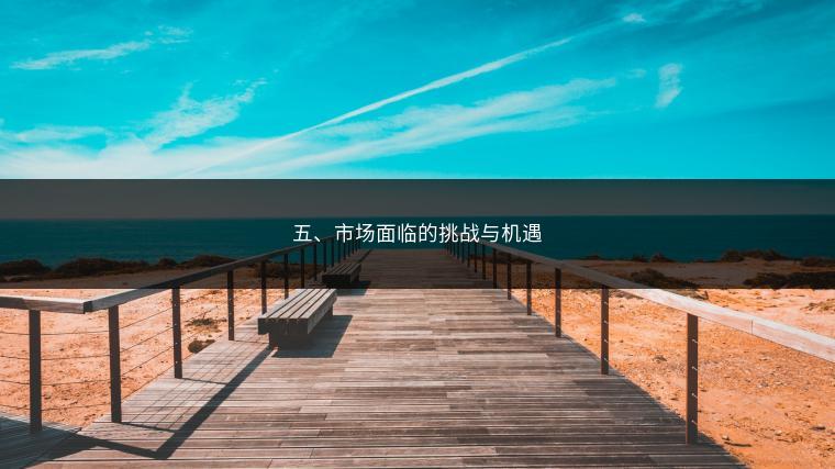 五、市场面临的挑战与机遇