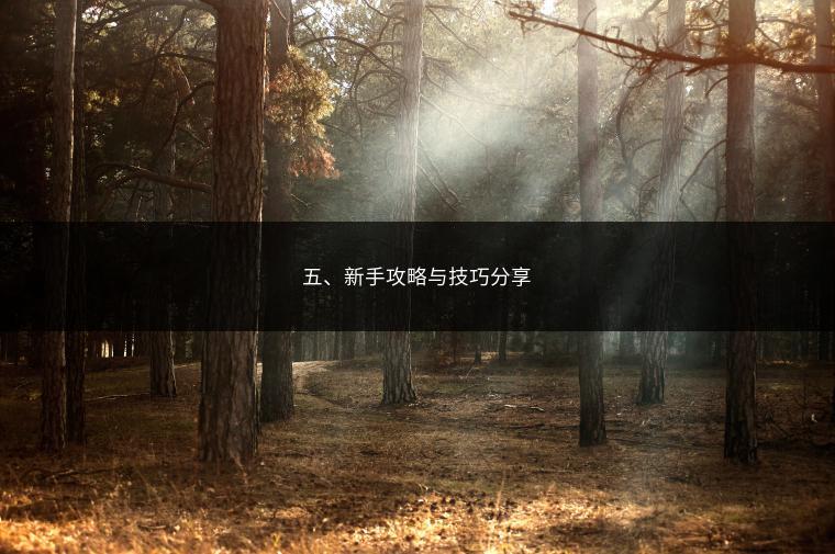 五、新手攻略与技巧分享
