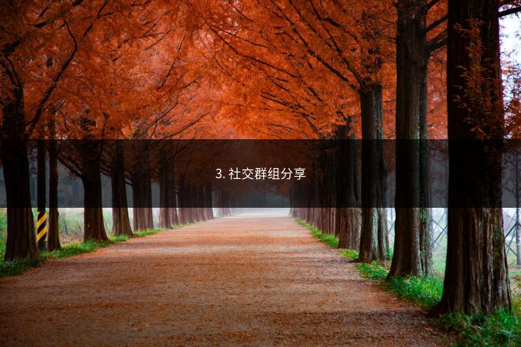 3. 社交群组分享