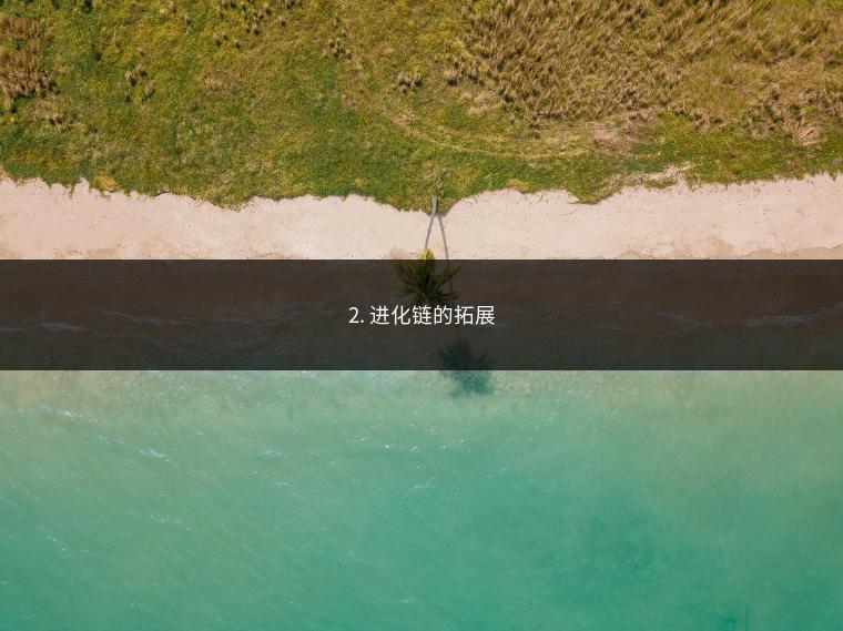 2. 进化链的拓展