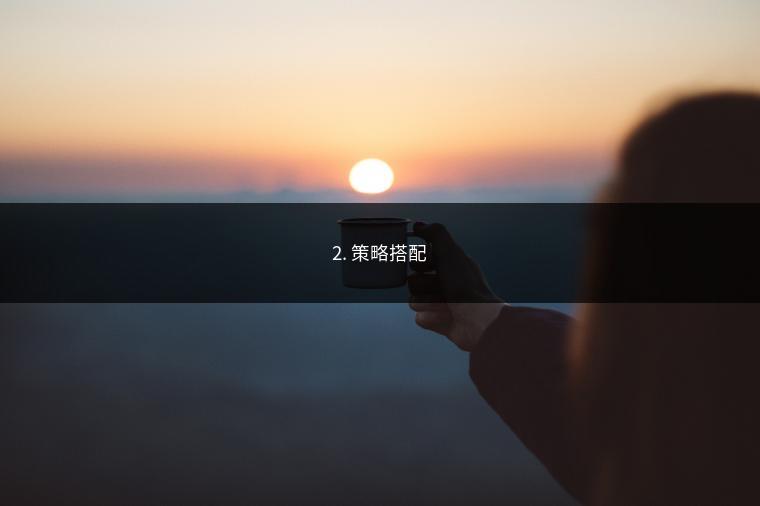 2. 策略搭配