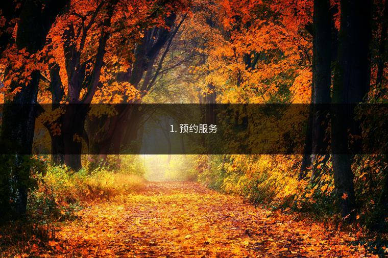 1. 预约服务