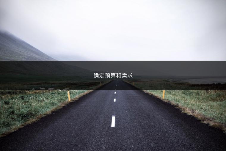 确定预算和需求