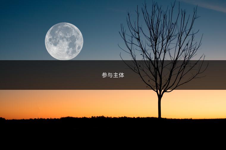 参与主体