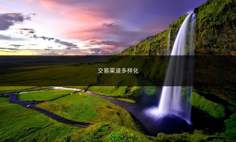 交易渠道多样化