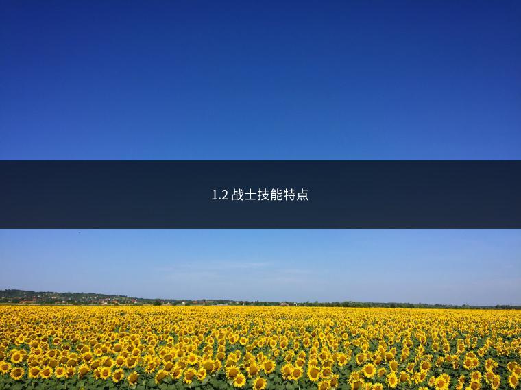 1.2 战士技能特点