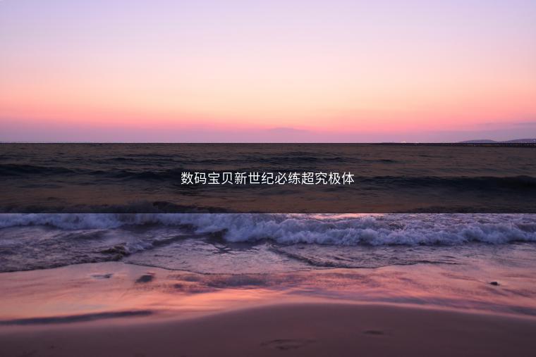 数码宝贝新世纪必练超究极体