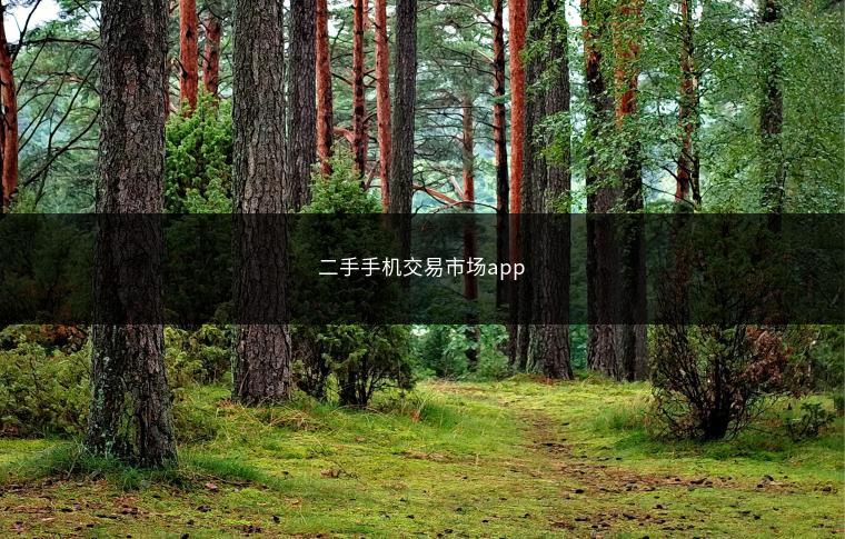 二手手机交易市场app