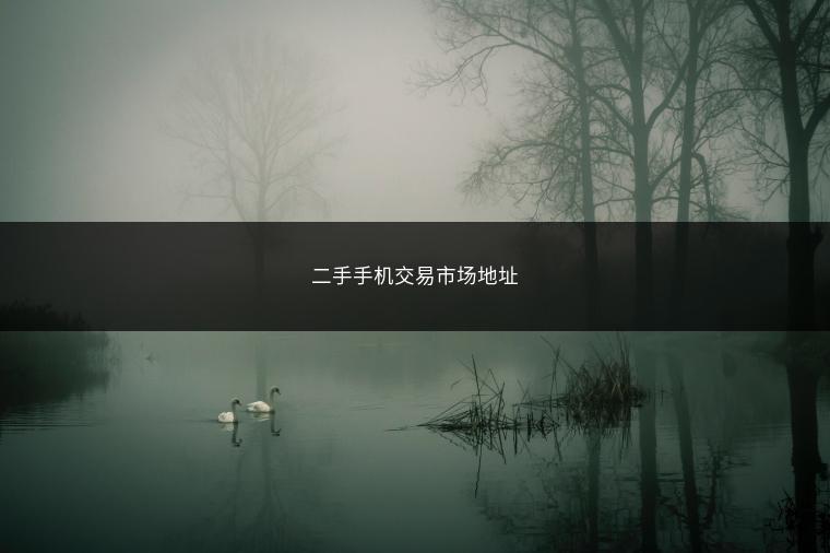 二手手机交易市场地址
