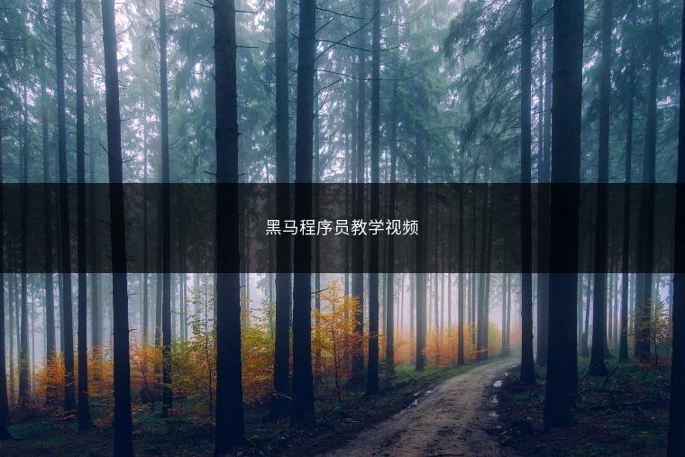 黑马程序员教学视频