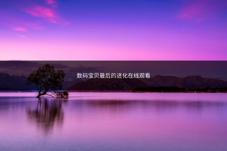 数码宝贝最后的进化在线观看
