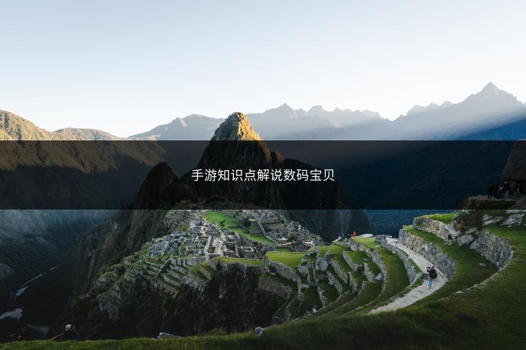 手游知识点解说数码宝贝