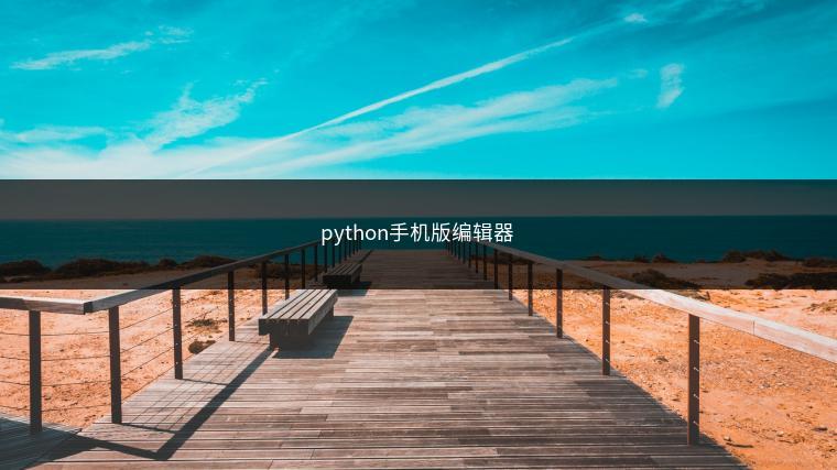 python手机版编辑器