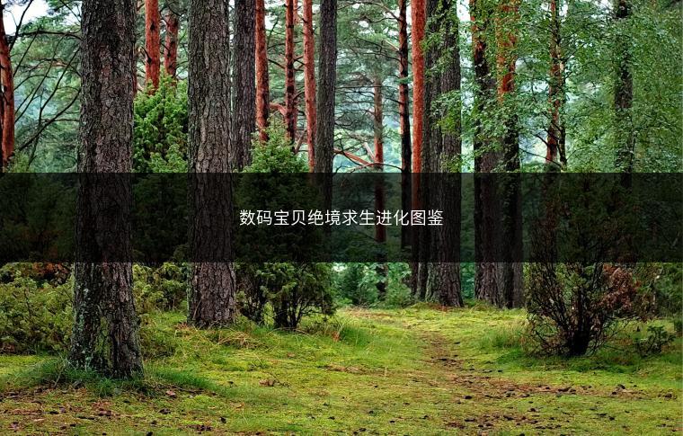 数码宝贝绝境求生进化图鉴