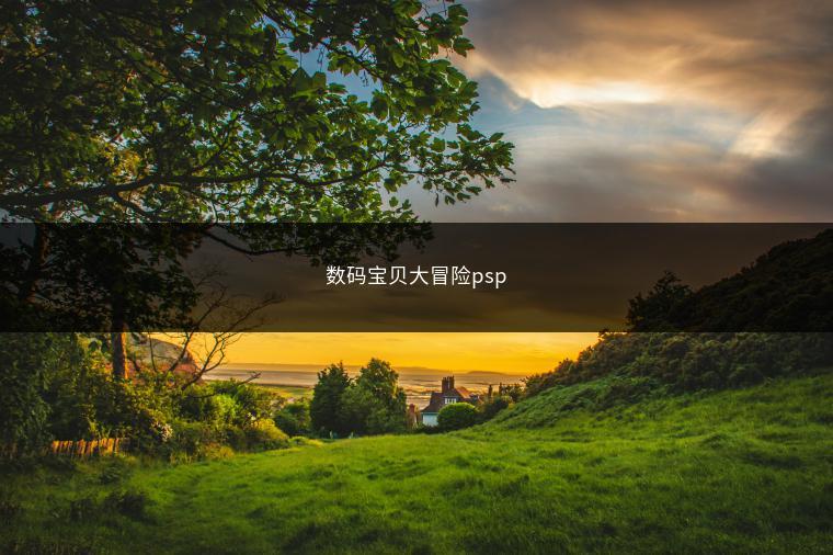 数码宝贝大冒险psp