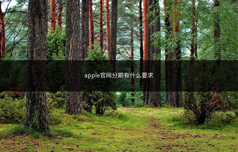 apple官网分期有什么要求