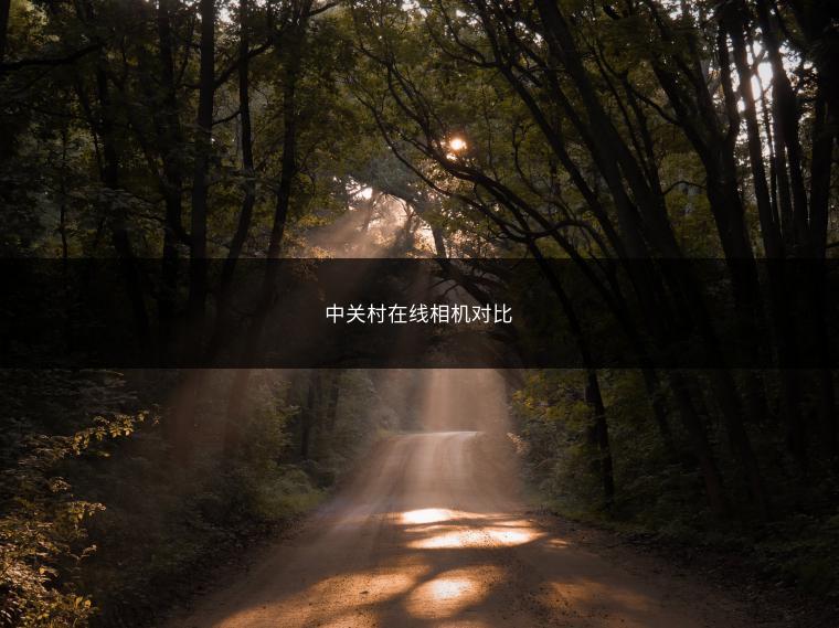 中关村在线相机对比