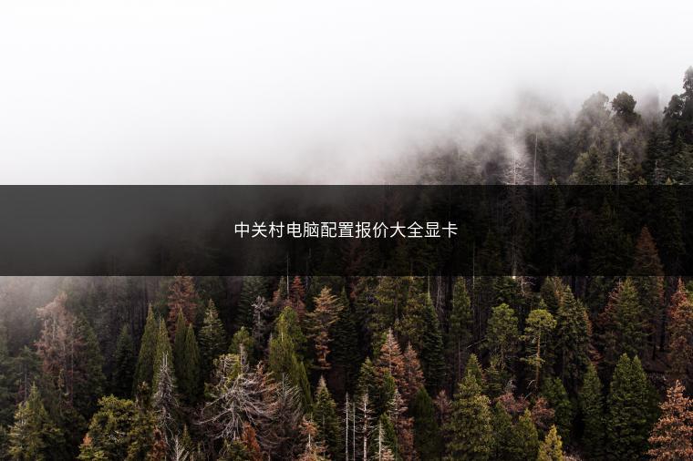 中关村电脑配置报价大全显卡