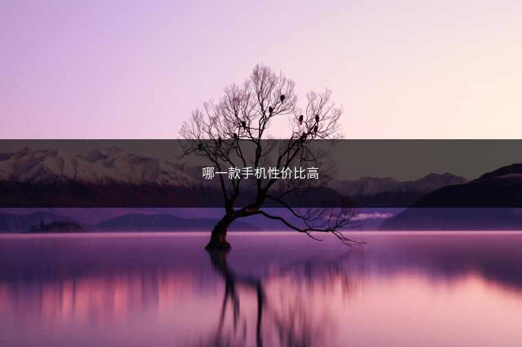 哪一款手机性价比高