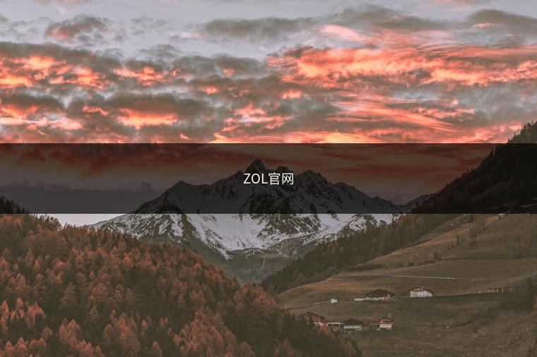 ZOL官网