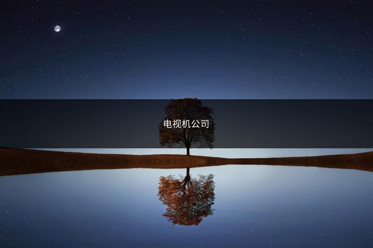 电视机公司