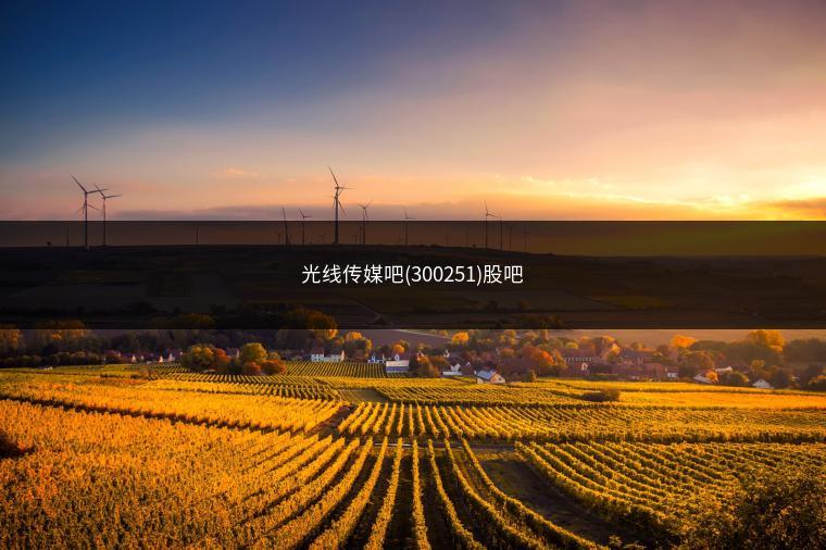 光线传媒吧(300251)股吧