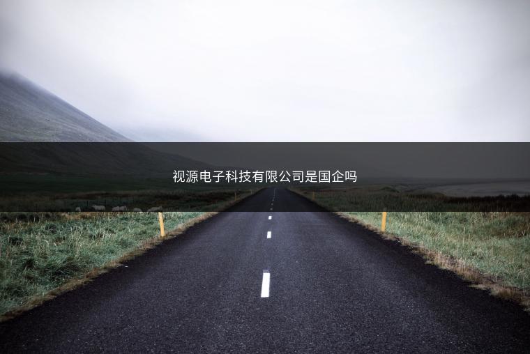 视源电子科技有限公司是国企吗