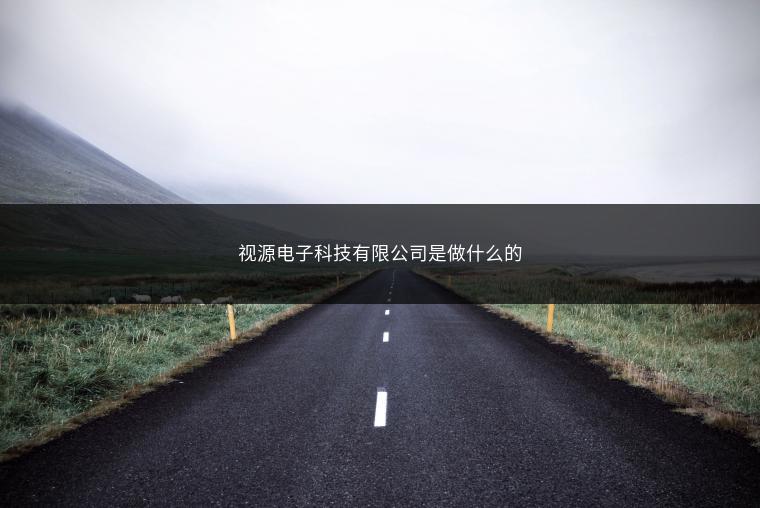 视源电子科技有限公司是做什么的