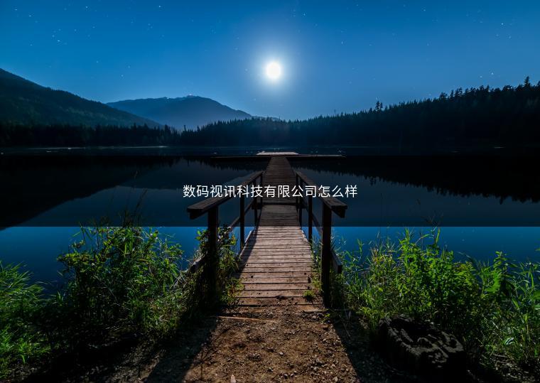 数码视讯科技有限公司怎么样