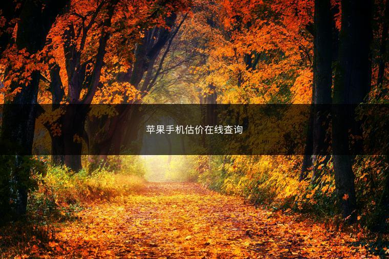 苹果手机估价在线查询