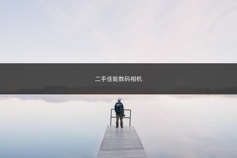 二手佳能数码相机