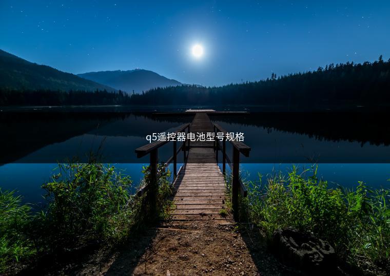 q5遥控器电池型号规格