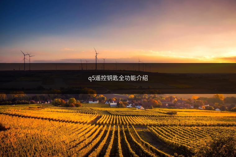 q5遥控钥匙全功能介绍