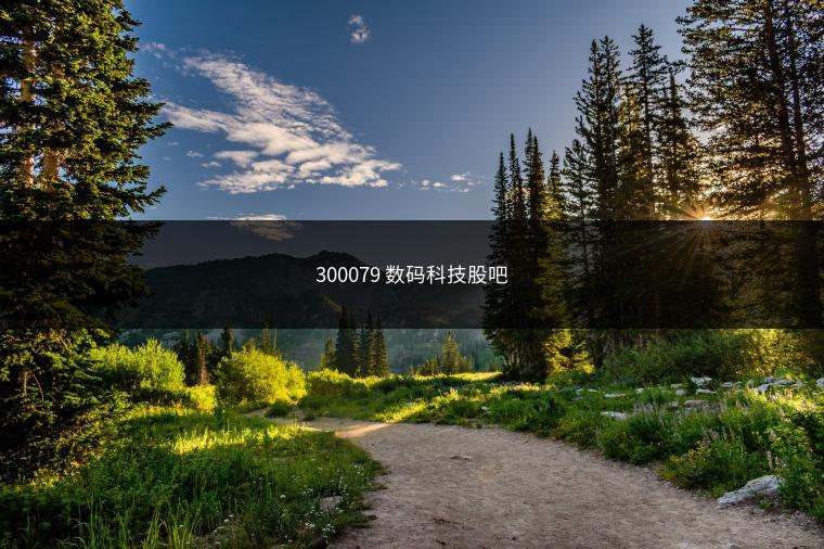 300079 数码科技股吧