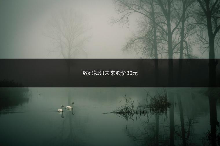 数码视讯未来股价30元