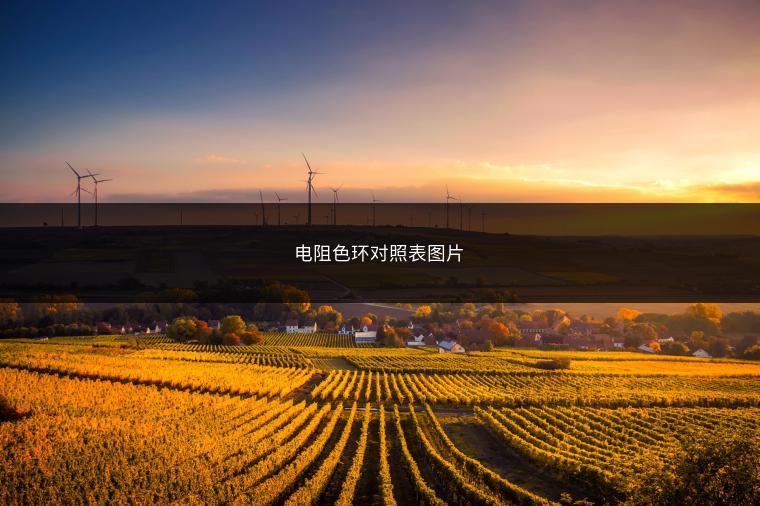 电阻色环对照表图片