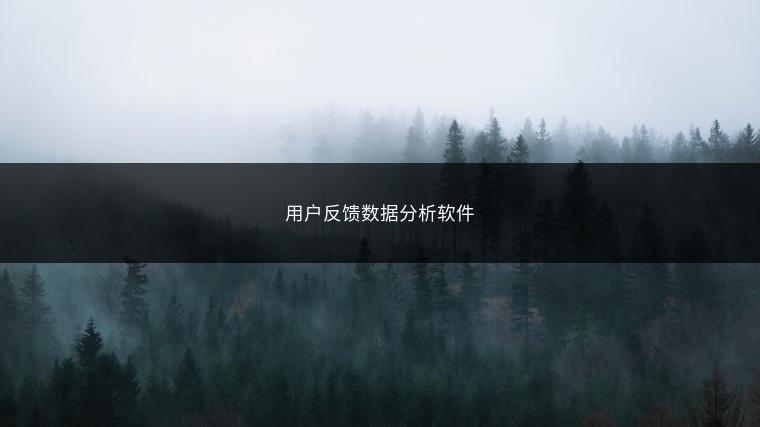 用户反馈数据分析软件