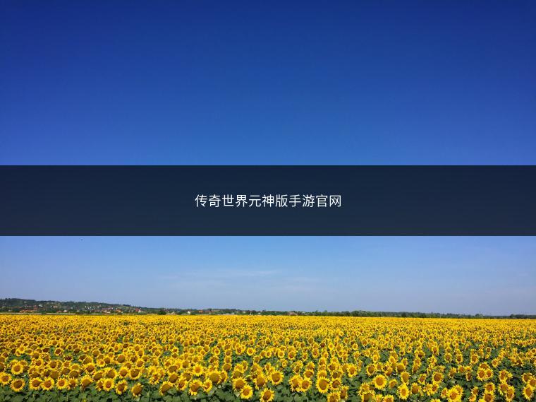 传奇世界元神版手游官网