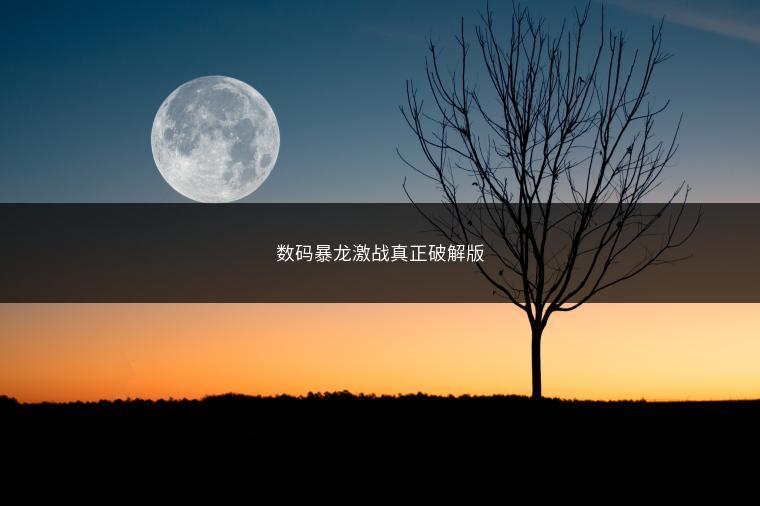 数码暴龙激战真正破解版