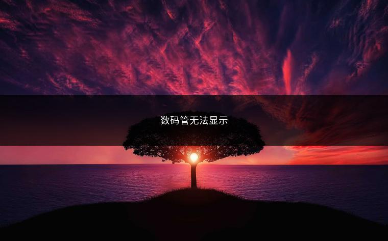 数码管无法显示