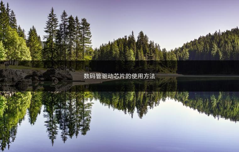 数码管驱动芯片的使用方法