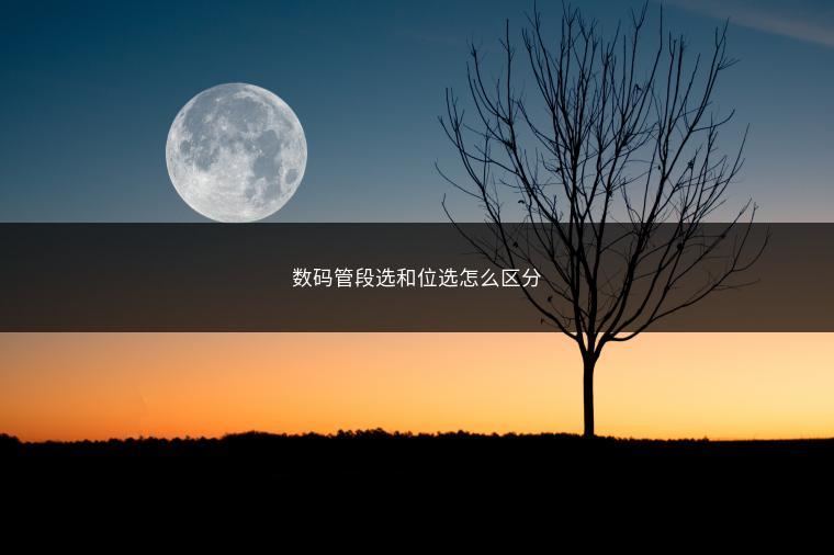 数码管段选和位选怎么区分
