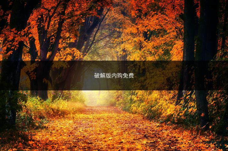 破解版内购免费