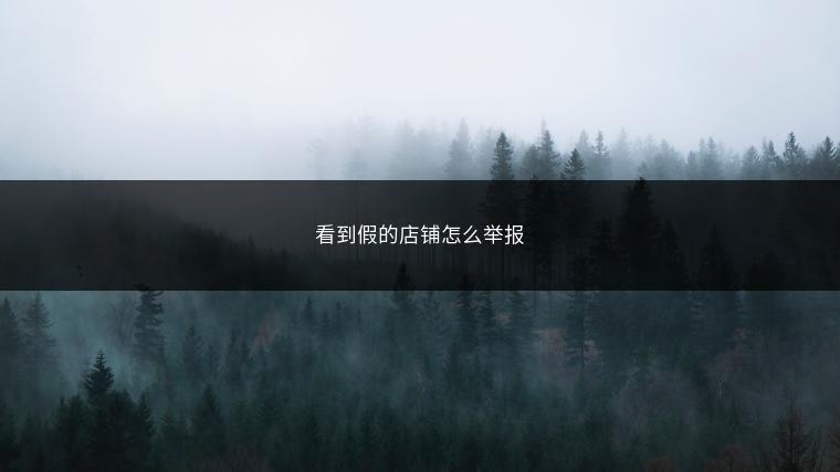 看到假的店铺怎么举报