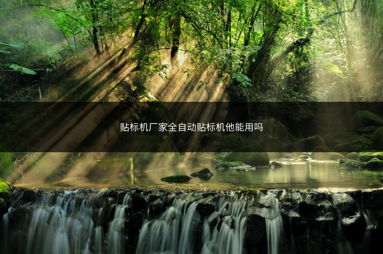 贴标机厂家全自动贴标机他能用吗