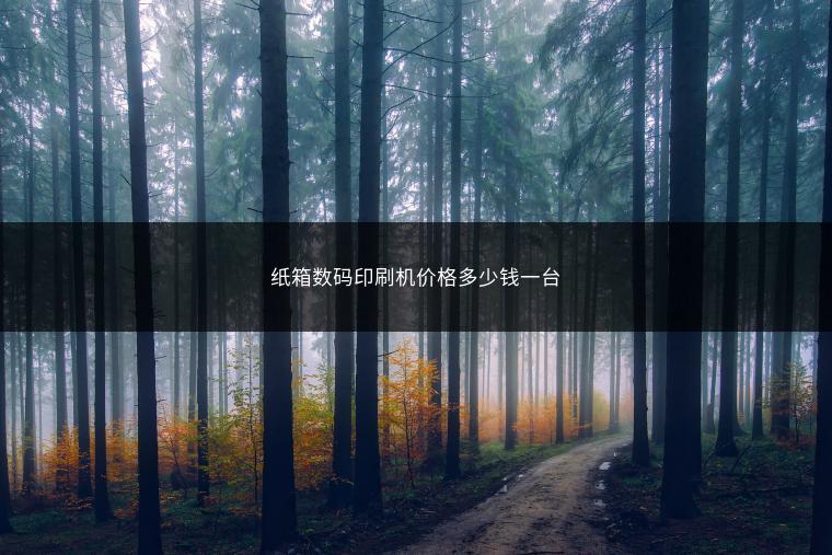 纸箱数码印刷机价格多少钱一台