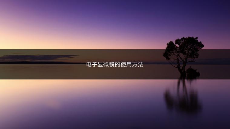 电子显微镜的使用方法