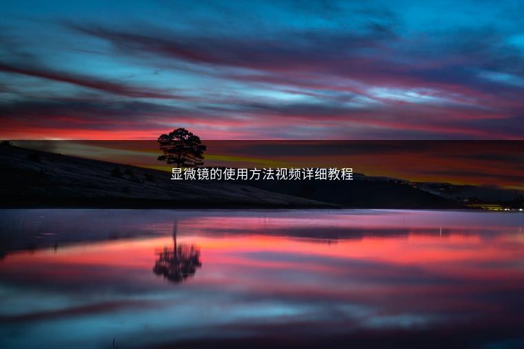 显微镜的使用方法视频详细教程