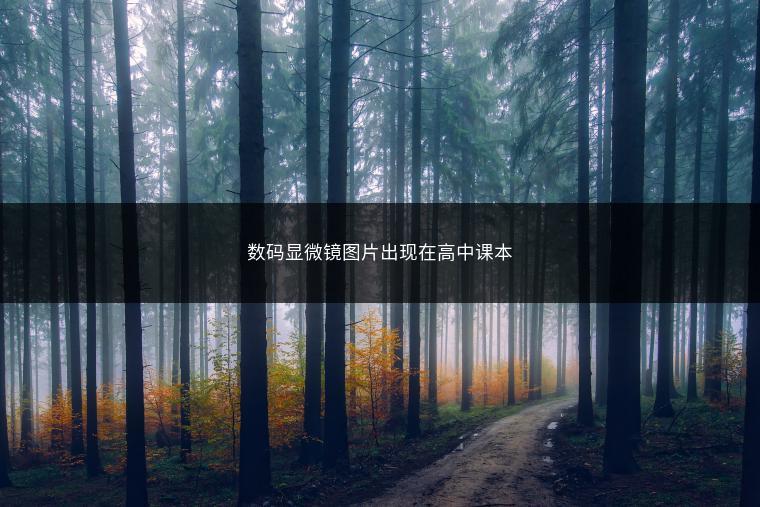 数码显微镜图片出现在高中课本